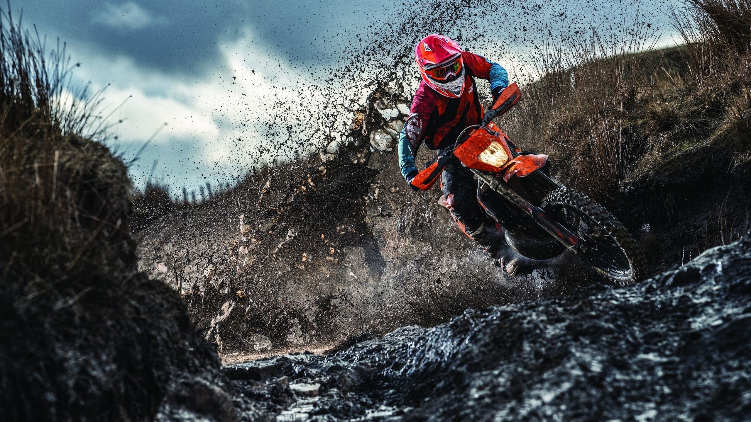 kaiyun入口-十二连败阴霾笼罩科维托娃，德国队教练深陷压力漩涡，双重压力笼罩，科维托娃十二连败与德国教练的危机时刻